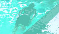 257-Swim it out-cropped.png