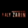Click here to learn more about Aly Zarin.